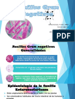 Bacillus Gram Negativos