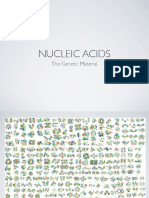 B101 Nucleic Acids