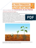 Germinación-y-Crecimiento-de-las-Plantas-para-Segundo-de-Primaria.pdf