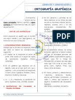 Ortografia Grafemica PDF