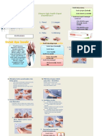 Leaflet Insulin