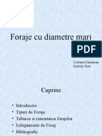 Foraje Cu Diametre Maricele