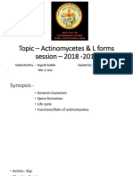  Actinomycetes