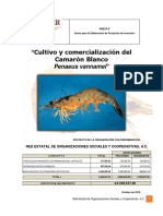 Anexo II Guion Único para La Elaboración de Proyectos de Inversión