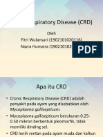 Cronic Respiratory Disease (CRD) Bavet