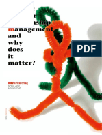 2010.04 - What Is SRM and Why Does It Matter - DILF - 2018 (12x18) PRINT PDF