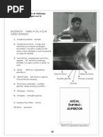 apostila de posição radiológica