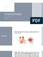 Vesikolitiasis Map 6