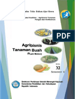 Kelas 11 SMK Agribisnis Tanaman Buah Melon 2