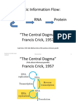 Genetic Information Flow: Dna Rna Protein