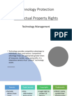 Technology Protection Intellectual Property Rights