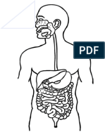 Dibujo sistema digestivo.docx