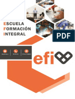 Dossier EFI
