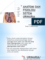 Anatomi Dan Fisiologi Sistem Urinaria 