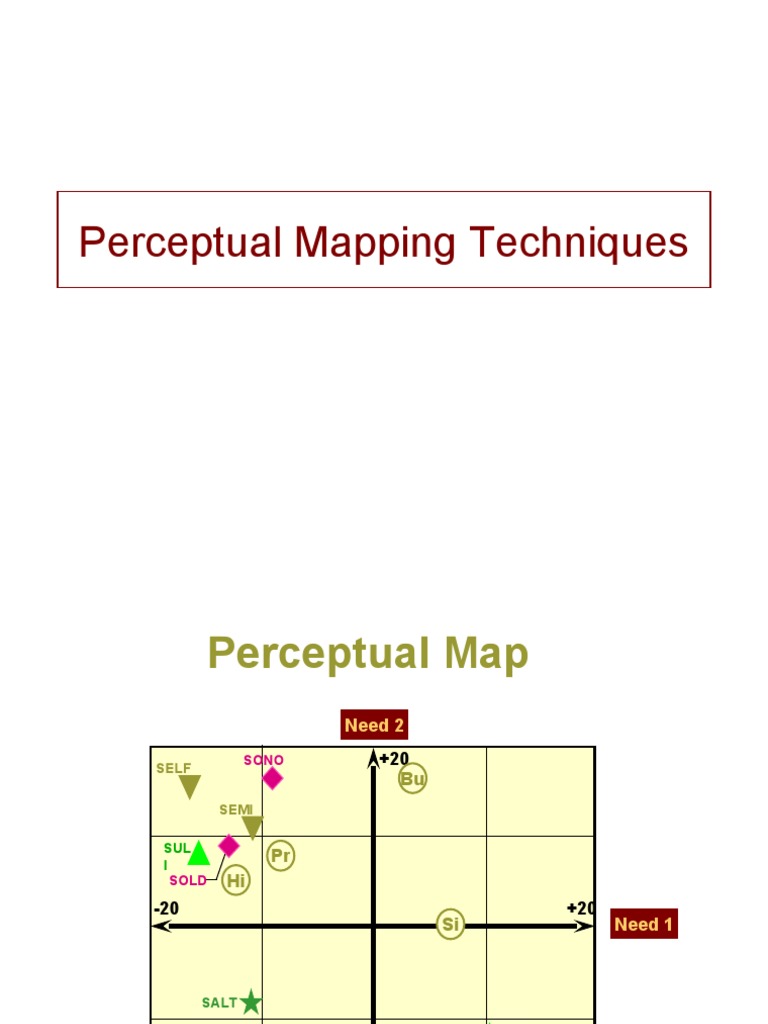 Perceptual Mapping Techniques | PDF