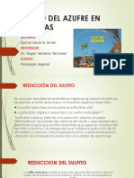 diapositivas-seminario-3