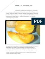 Industrialización Del Mango