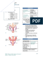 Surgery Parathyroid