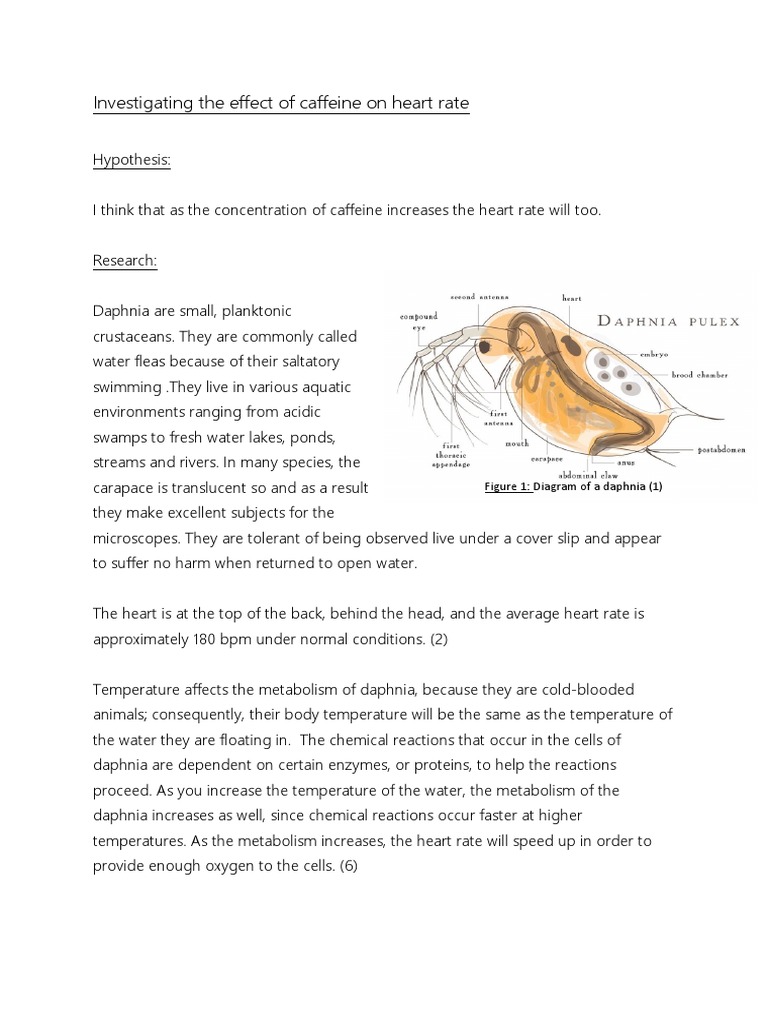 Investigating The Effect of Caffeine On Heart Rate | PDF | Caffeine ...