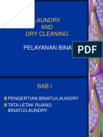 Laundry and Dry Cleaning2