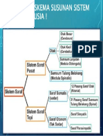 Sistem Saraf Kelompok 3 3 638