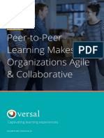 P2P Learning - Versal