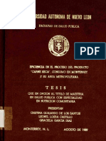 Tesis Carne Seca PDF