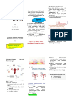 Leaflet-Kb PDF