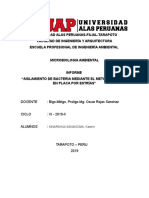 Informe de Microbiologia-Aislamiento de Bacterias