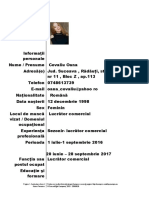 CV in Format European PDF