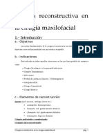 Cirugía reconstructiva maxilofacial