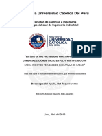 BOCANEGRA_DELAGUILA_NAT_ESTUDIO_PREFACTIBILIDAD_PRODUCCIÓN.pdf