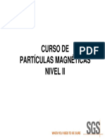 CURSO MT NIVEL II.pdf