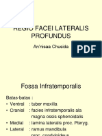 Regio Facei Lateralis Profundus