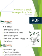How To Start A Small Scale Poultry Farm