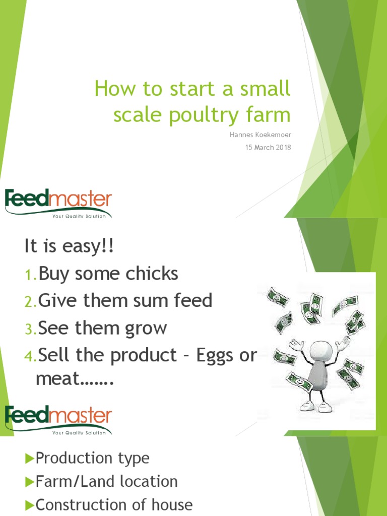 How To Start A Small Scale Poultry Farm PDF Poultry Farming Poultry