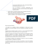 Fisica Transporte Alveolar 