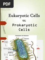 Prokaryotic vs Eukaryotic Cells Table | PDF | Cell (Biology) | Eukaryotes