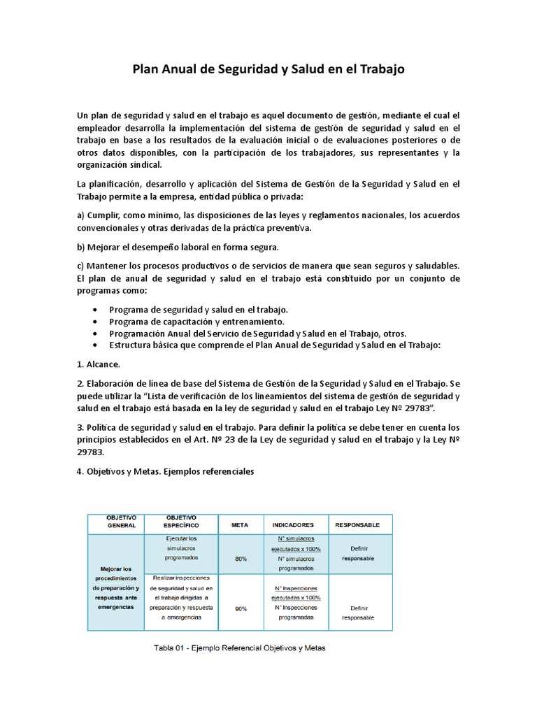 Plan Anual de Seguridad y Salud en El Trabajo | PDF | Evaluación | La ...