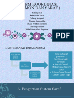 Sistem Koordinasi (Saraf & Hormon)