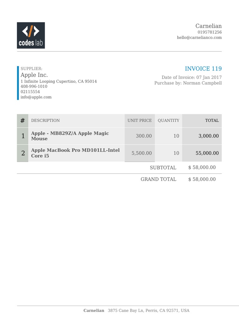 Invoice for Apple Products Purchase | PDF