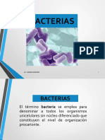 bacterias