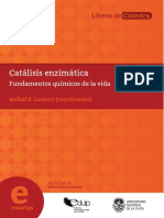 Catalizis enzimatica UNP.pdf