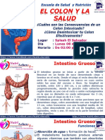 01b Desintoxicacion de Colon