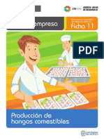 ficha-extendida-11-produccion-de-hongos-comestibles.pdf