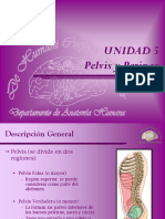 37 Pelvis. Generalidades