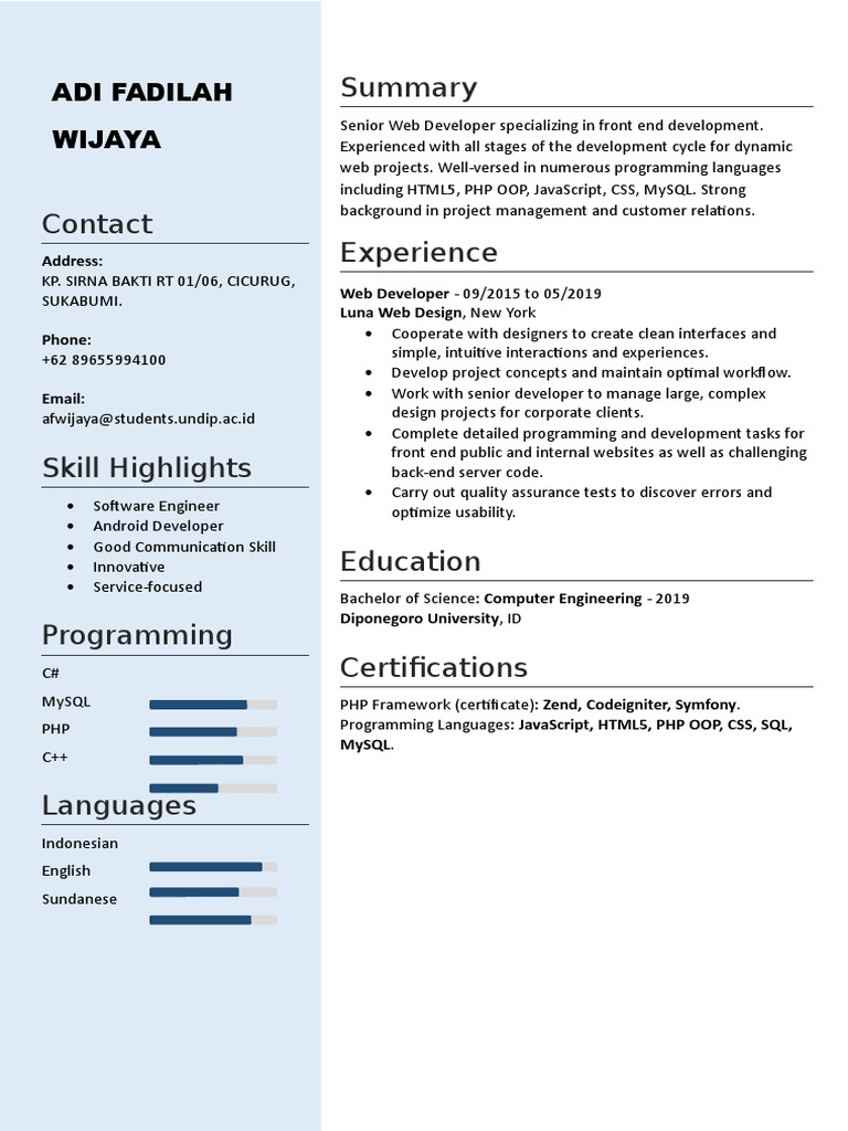 Senior Web Developer Profile Summary | PDF