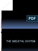 Zoology PPT Skeletal System