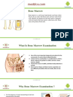 Bone Marrow: Diseases, Transplants and Cost - Meddco