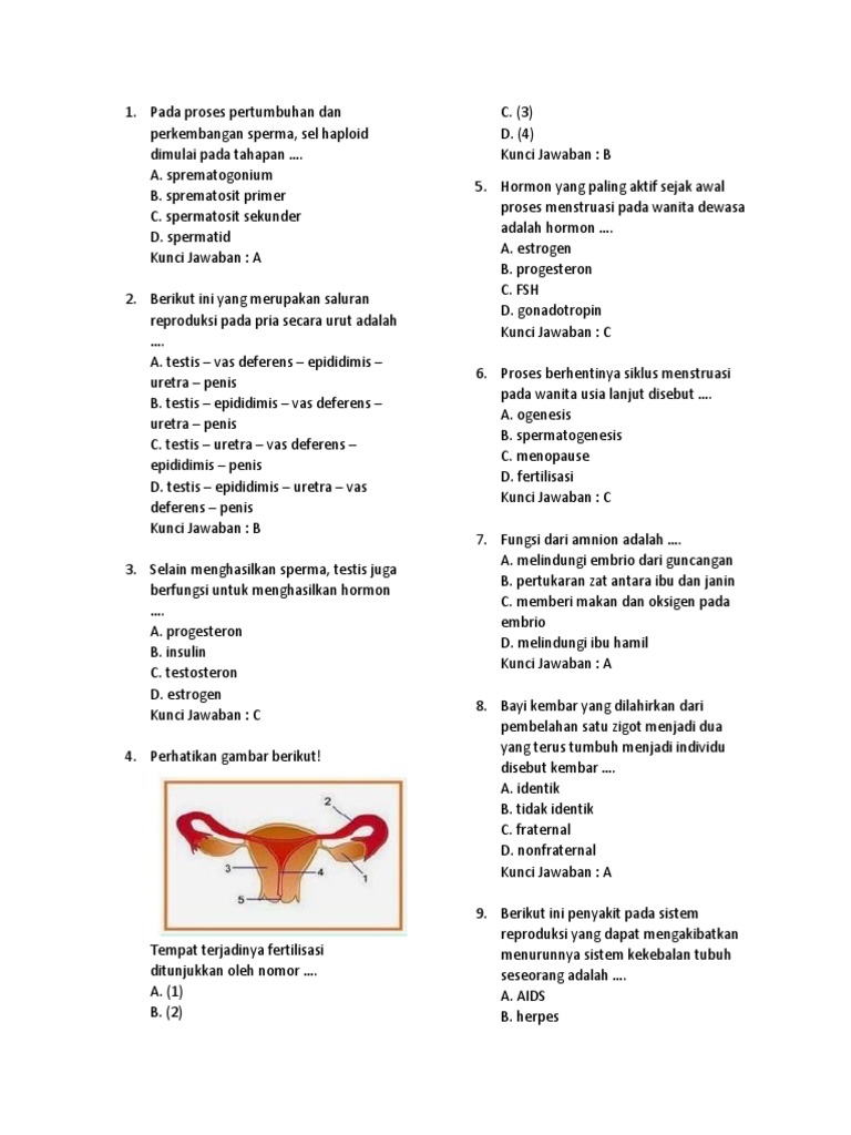 Hormon yang paling aktif sejak awal proses menstruasi pada wanita dewasa adalah hormon ….